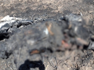 Menchos Aterrizan Avioneta 